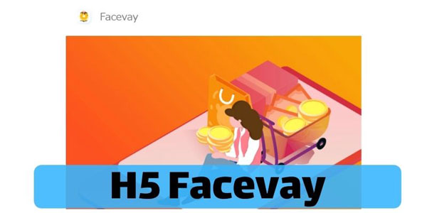 H5 Facevay