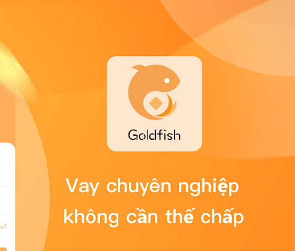 GoldFish vay là gì?