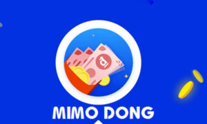 Mimodong