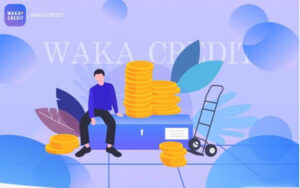 waka credit