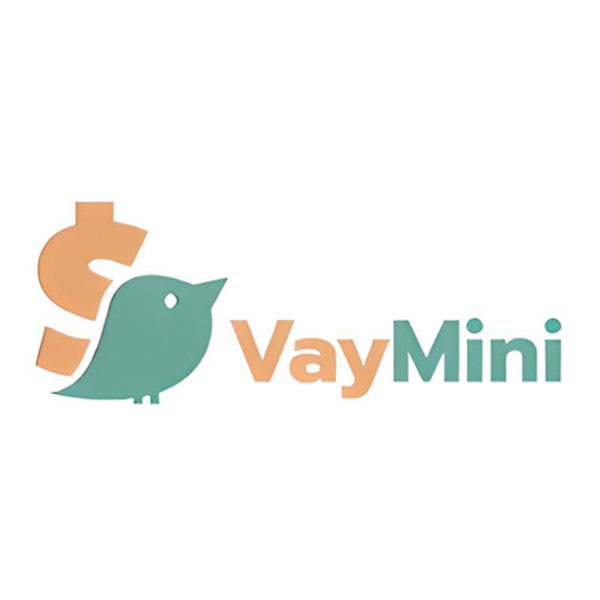 Mini vay