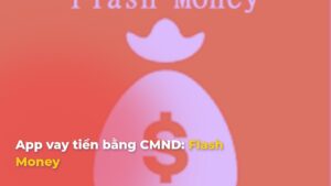 Flash Money