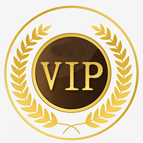 Vip Credit